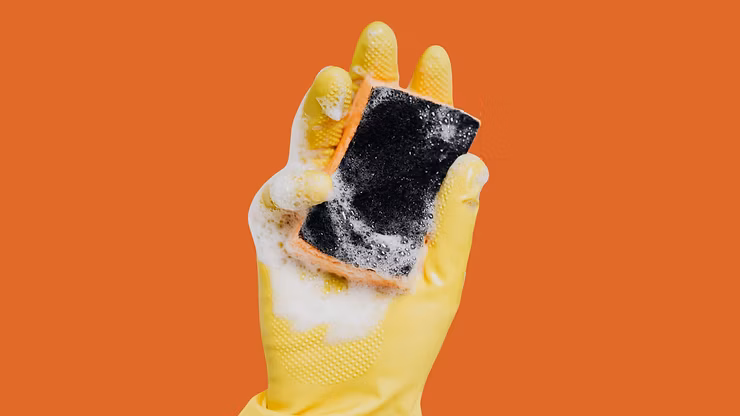 Enzymes in Home Care: From Stain Removers to Catalysts